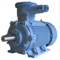 新加坡Att 三相標(biāo)準(zhǔn)效率防爆感應(yīng)電機 EP 系列