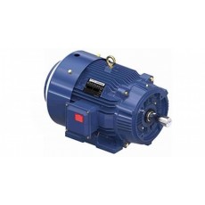marathon motors 防滴漏電機(jī)C面剛性系列