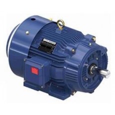 marathon motors 全封閉電機(jī)C面腳剛性底座系列