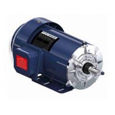 marathon motors 全封閉電機(jī)剛性底座系列