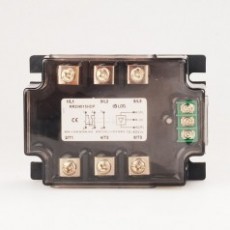 中國(guó)LDG 聯(lián)鎖式電機(jī)正反轉(zhuǎn)控制模塊RR2I4015系列