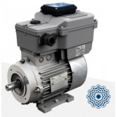 意大利MOTOVARIO 變頻電機(jī)DRIVON系列