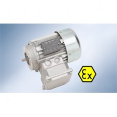 WALTHER FLENDER電動(dòng)機(jī)ATEX式系列
