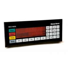 Eilersen 數(shù)字LED稱重顯示器 MCE9625L系列