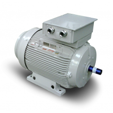 FIMET ATEX 粉塵和氣體電機(jī)系列