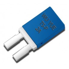 WUYUE 車(chē)窗電機(jī)保護(hù)器TS-P系列