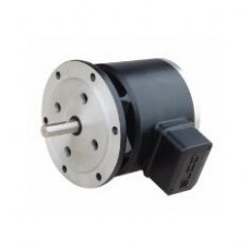 ELCO 重載高防護(hù)型超速開關(guān)MVL115系列