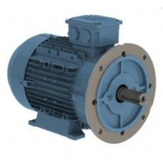 watt drive 低壓電機(jī)W20 0.25 kW系列