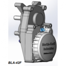 Merkle-Korff 無(wú)刷直流減速電機(jī)BLA-42F