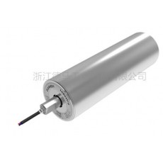 Damon 皮帶輸送機(jī)用電動輥筒系列