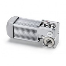 MINI MOTOR 無(wú)端螺旋齒輪馬達(dá)系列