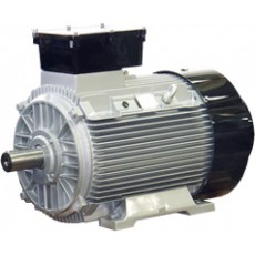 ATB MOTORS 防護(hù)等*更高的電機(jī)系列