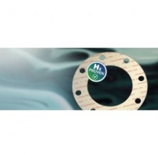 James Walker 墊片F(xiàn)luolion 800系列