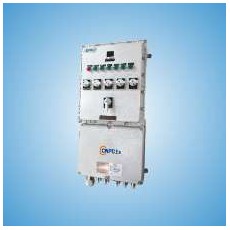 CNPC-Ex 智能防爆溫度控制配電箱CN800-Z系列
