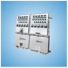 CNPC-Ex 智能防爆溫度控制配電箱CN800-H系列