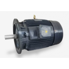 GW INDUSTRY 三相異步電動機CNS系列