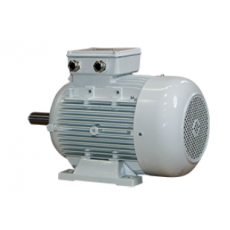 EMWB 風(fēng)冷防爆電機(jī)系列