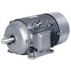 BEIDE 三*能效低壓三相異步電動(dòng)機(jī)1TL0303鋁殼系列