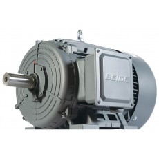 BEIDE 高能效低壓三相異步電動(dòng)機(jī)1TL8004 鑄鐵系列