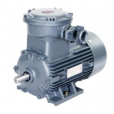 BEIDE 氣體防爆低壓三相異步電動(dòng)機(jī)1MT0003系列