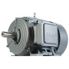 BEIDE 高能效低壓三相異步電動(dòng)機(jī)1TL8004 鑄鐵系列
