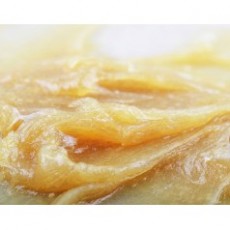 oleotecnica 潤滑劑脂肪系列