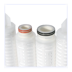 Graver Technologies 過濾器 SLWB系列