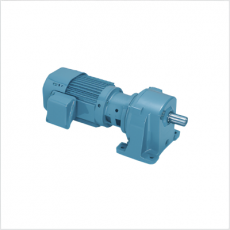 SG GEAR MOTOR 三相離合器和制動齒輪電機系列