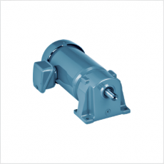 SG GEAR MOTOR 單相平行軸齒輪電機系列
