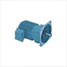 SG GEAR MOTOR 三相平行軸齒輪電機系列