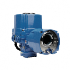 API MARINE 防爆電動(dòng)執(zhí)行器UED系列