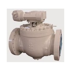 FASANI VALVE 頂部入口球閥系列