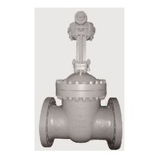 FASANI VALVE 閘閥API600系列