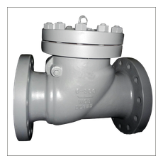 FASANI VALVE 旋啟式止回閥系列
