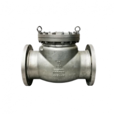 FASANI VALVE 止回閥BS1868系列