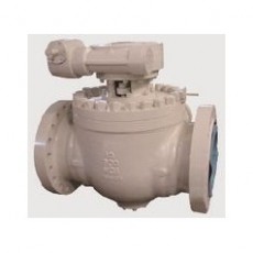 FASANI VALVE 頂部入口球閥系列