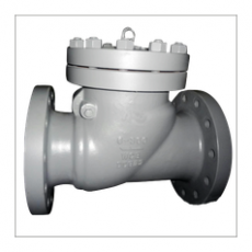 FASANI VALVE 旋啟式止回閥系列