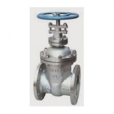 FASANI VALVE DIN標(biāo)準(zhǔn)閘閥非升降桿系列