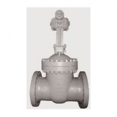 FASANI VALVE 閘閥API600系列