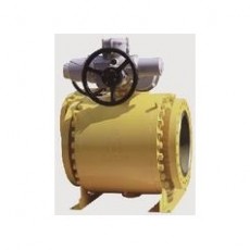 FASANI VALVE 球閥耳軸安裝系列