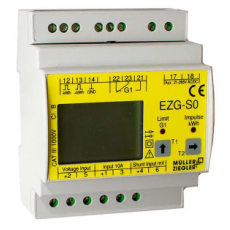 MULLER ZIEGLER 直流電能表EZG-S0系列