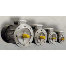 SANGALLI 同步電機ECOPM IE4系列