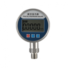 KJTDQ 數(shù)字壓力表KJT- T200系列