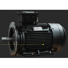 Hoyer IE4電機(jī)系列
