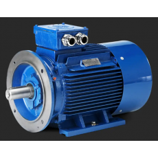Hoyer 異步低壓三相TEFC電機(jī)系列