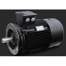 Hoyer **能效電機(jī)系列