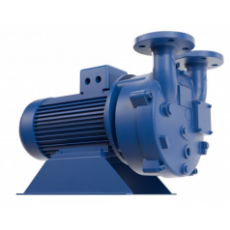SR PUMPS 單*液環(huán)真空泵VSM系