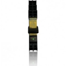 ZANDER AACHEN 安全耦合繼電器F C2系列