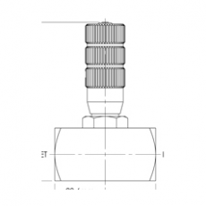 BIS VALVES 截止及計(jì)量閥FMF25系列