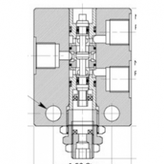 BIS VALVES 直通式電磁閥(2/3DS37)系列